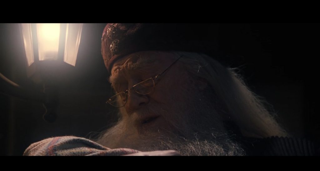 Albus Dumbledore, Harry Potter and the Sorcerer's Stone, Max, Warner Bros., Heyday Films, 1492 Pictures, Jared Harris