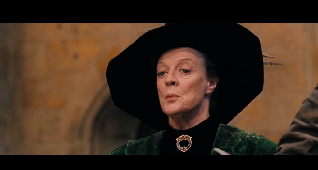 Professor McGonagall, Harry Potter and the Sorcerer's Stone, Max, Warner Bros., Heyday Films, 1492 Pictures, Maggie Smith